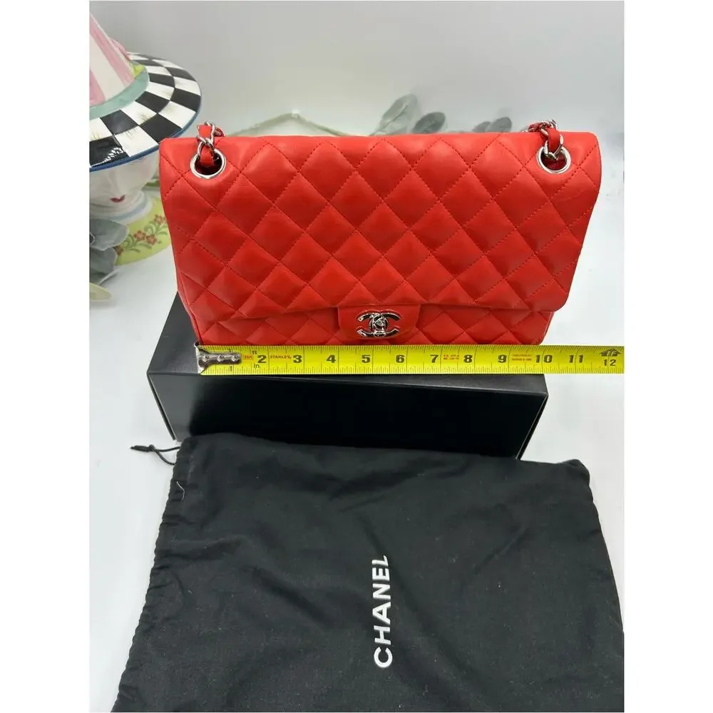 Women's Chanel MATELASSE lambskin shoulder Bag ladybug, and strawberry charms.